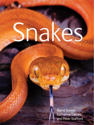 Snakes - A Comprehensive Introduction