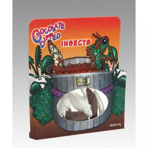 Chocolate Covered Insects