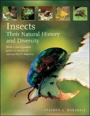 Insects: Their Natural History and Diversity