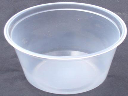12oz Clear Insect Deli Cup