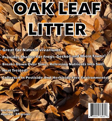 Oak Leaf Litter