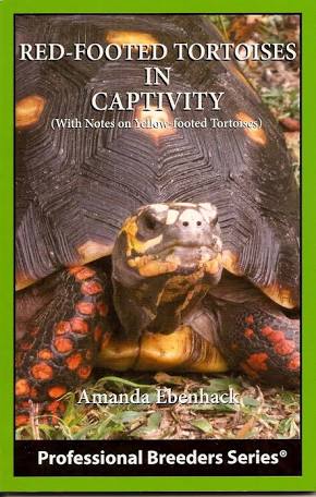 Red Foot Tortoise In Captivity