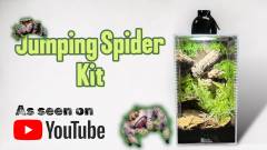 Jumping Spider Complete Setup