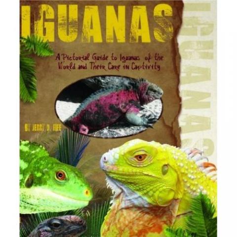 Pictorial Guide to Iguanas of the World