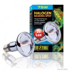 Exo Terra 75 Watt Sun Glo Halogen Bulb