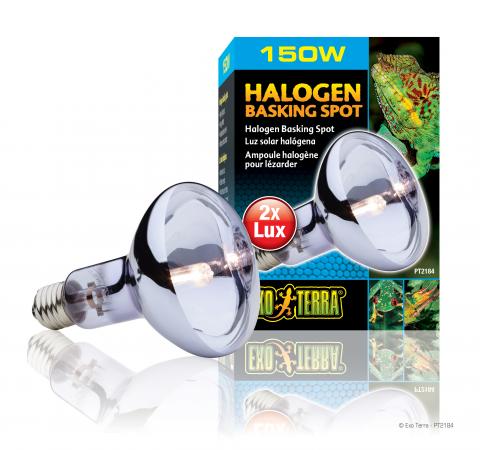 Exo Terra 150 Watt Sun Glo Halogen Bulb