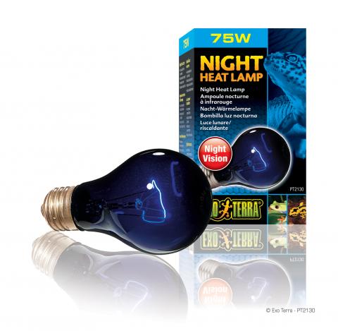 Exo Terra 75 Watt Night Heat Lamp