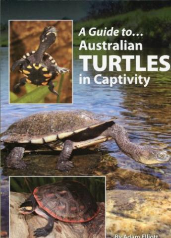 Guide to Australian Turtles in Captivity