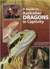 Guide to Australian Dragons in Captivity
