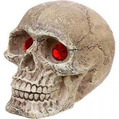 Penn Plax Human Skull Gazers Cage Ornament