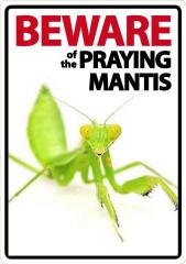 Beware of the Praying Mantis Sign