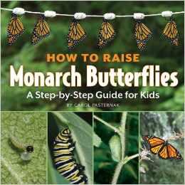 How to Raise Monarch Butterflies: A Step-by-Step Guide for Kids