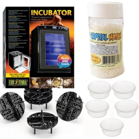 exo terra egg incubator