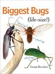 Biggest Bugs - Life Size