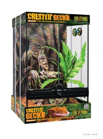 Exo Terra Crested Gecko Kit Small