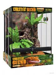 Exo Terra Crested Gecko Kit Large