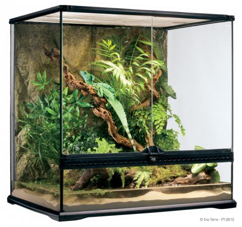 Exo Terra 24 x 18 x Glass Terrarium (local pickup only) for sale