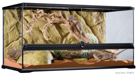 Reptile Terrarium 40 Gallon Terrarium Exo Terra Cabinet Large