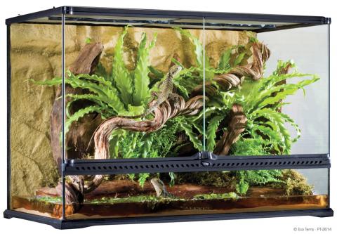 Exo Terra 18 x 24" Glass (local pickup for sale