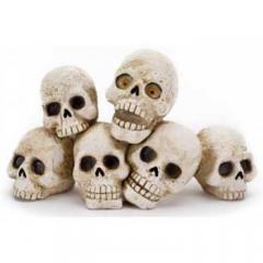 Penn Plax Zombie Skulls