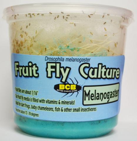 Repashy SuperFly - Fruit Fly Culture Media