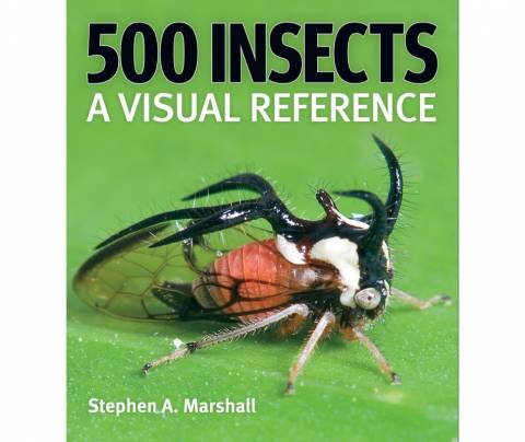 500 Insects - A Visual Reference