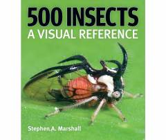 500 Insects - A Visual Reference