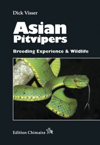 Asian Pit Vipers - Breeding Experience & Wildlife