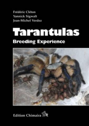 Tarantulas - Breeding Experience