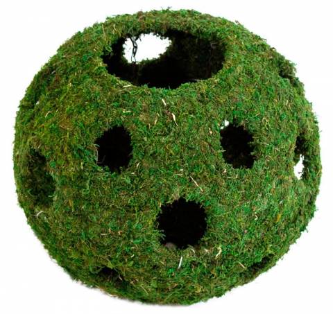 Galapagos  Mossy Cave Green With Holes 12"