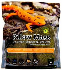 Galapagos Pillow Moss 8 quarts