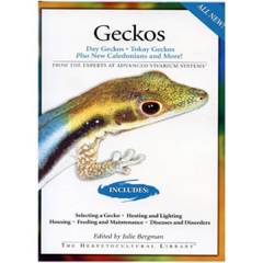 Geckos Book