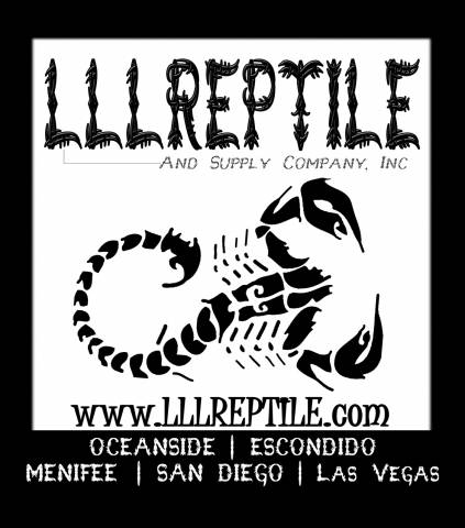 LLLReptile Scorpion Sticker