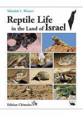Reptile Life in the Land of Isreal