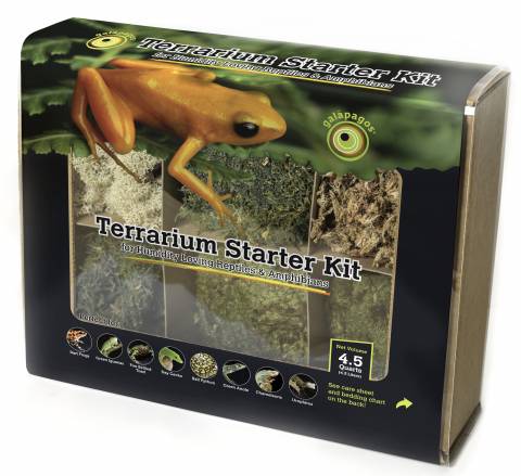 Galapagos Terrarium Starter Kit - Humid