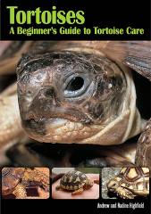 Tortoises - A Beginners Guide To Tortoise Care
