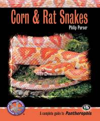 Corn and Rat Snakes
