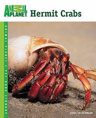 Animal Planet Hermit Crabs