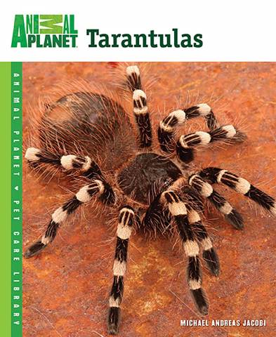 Animal Planet Tarantulas