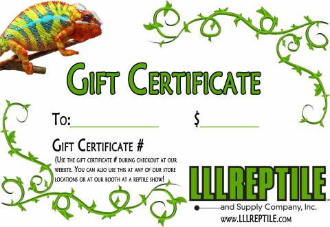 LLLReptile gift certificate 100 dollars