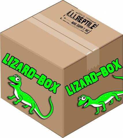 Lizard Supply Box 2-Go !