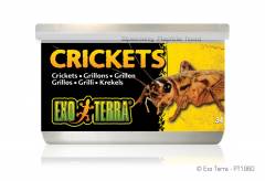 Exo Terra Canned Small Crickets 1.2oz