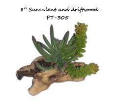 Pet Tech 8" Succulent on Driftwood