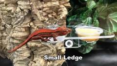 Pangea Suction Cup Gecko Ledge Small