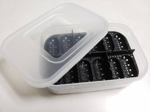 Medium Reptile Incubation Container w/tray