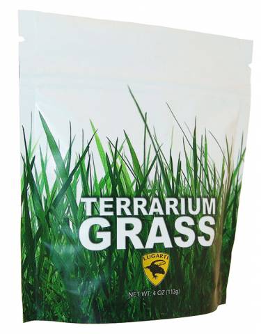 Lugarti Terrarium Grass