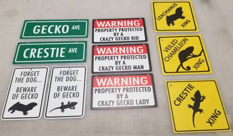 Warning - House Protected by Crazy Gecko Man Sign