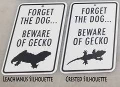 Forget the Dog Beware of the Gecko Sign (Leachianus)