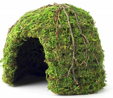 Galapagos Mossy Dome Hide 6"