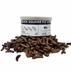 Canned Calcium  Worms (black soldier fly larvae)
